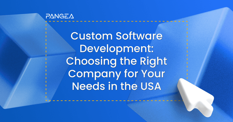 Choosing a Custom Software Development Company in the USA
