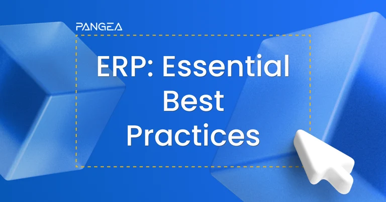Driving Efficiency with ERP: Essential Best Practices