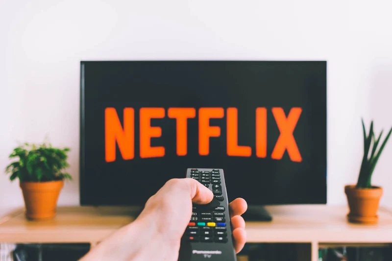 In the foreground, a white person's hand holds a black television remote, pointing it at a TV that is slightly out of focus. The red Netflix logo on a black background is visible on the TV screen. Potted plants rest on either side of the TV.