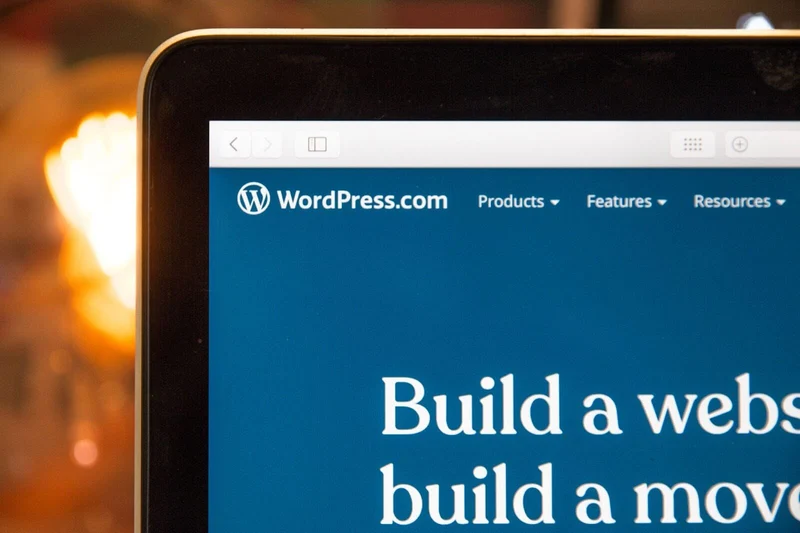 Every WordPress developer will come across this page for their business or learning purposes.